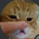 ymuchosdicendique avatar