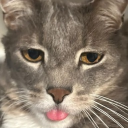 avatar Nuclear_Wafflez