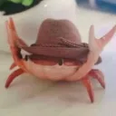 oldtowncrab