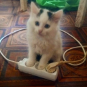 mishgan's Avatar