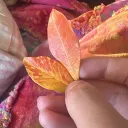 lpuicnaesapple