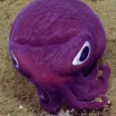 theopsquid