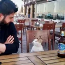 curiouscat3939