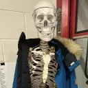 sans.9536