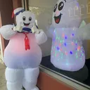 frozenthundra4490