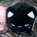 yukitoris