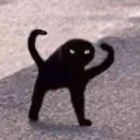 dann0_