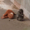 avatar .𝕮𝖆𝖙𝖍𝖊𝖗𝖎𝖓𝖊.