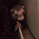 avatar .𝕮𝖆𝖙𝖍𝖊𝖗𝖎𝖓𝖊.