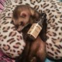 avatar .𝕮𝖆𝖙𝖍𝖊𝖗𝖎𝖓𝖊.