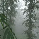 fmtsolr