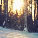 ryan_5363