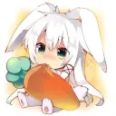 rabbit010