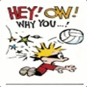 calvinballplayer