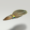metachumb