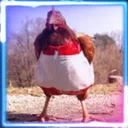 mcgolfo