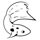 wingei