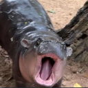 lethaljunkie#4132's avatar