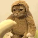 babatnd user image