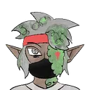 smugkiwi