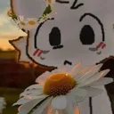 thatfunkyowl