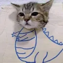 squishyjiud