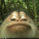 o_zaros#0's pfp