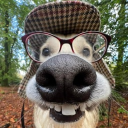 avatar Reasonwhy🥰