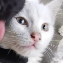 avatar m0nster.｡.:*♡