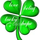 clover3638