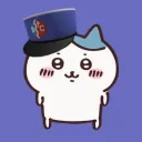 pdox_hazu