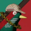 cigdan avatar