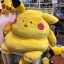 rudidevino