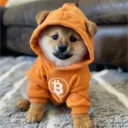 dog_go_to_the_moon