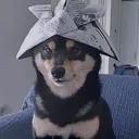 moonraypl