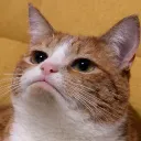 emmabobson