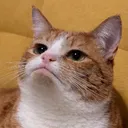 emmabobson