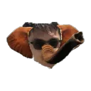 aashishkebab