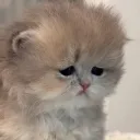 bxbyjiwjiw._
