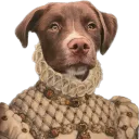 ryan_dogdad