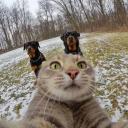 leolasso0849