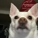 chuggatry