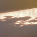 avatar a