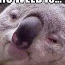koalitykontrol