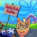 t_mo_o