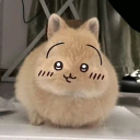 avatar MMK🖤人間だからね