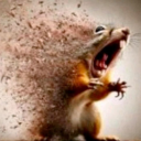 virilhudo member profile picture