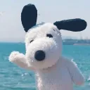 kamyshhhh