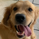 1048530777607's Avatar