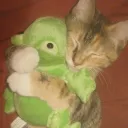 jelliefrog